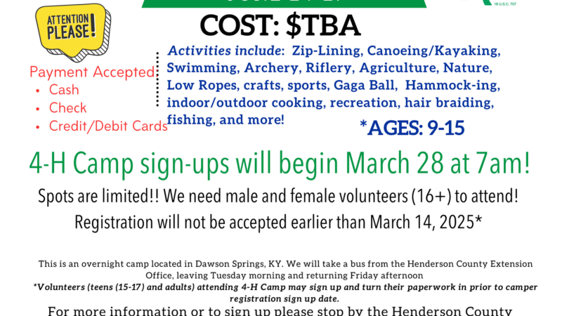 4-H Camp 2025 Information Flyer