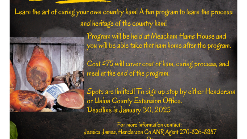 Adult Country Ham Program