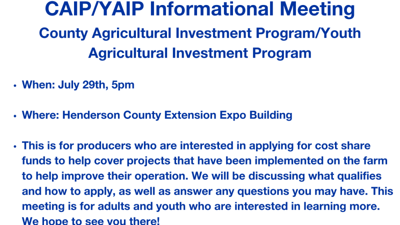 CAIP/YAIP INFO